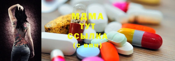 spice Богданович