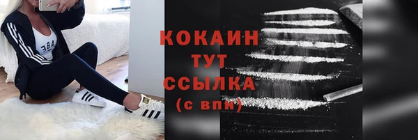 СК Богородск