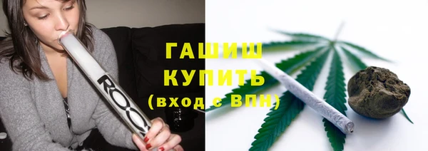 spice Богданович