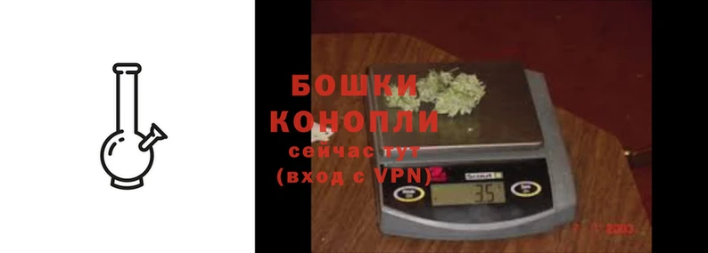СК Богородск