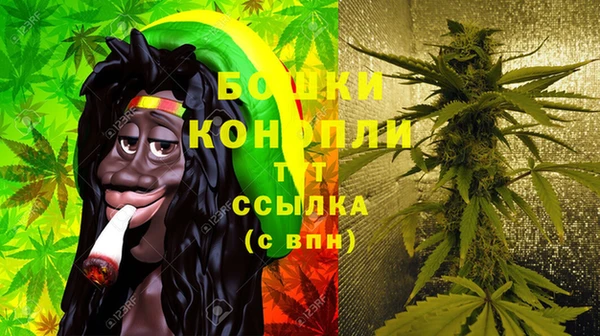 spice Богданович