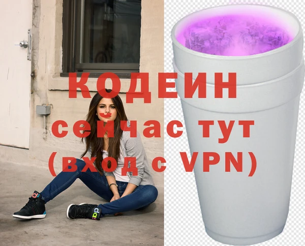 СК Богородск