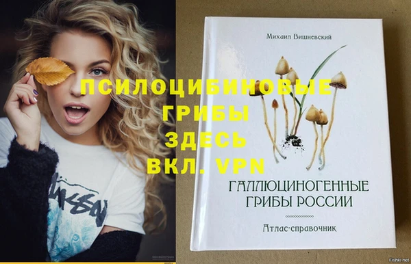 дмт Белоозёрский