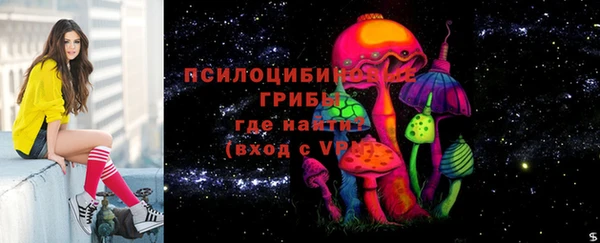 spice Богданович