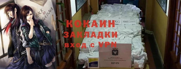 spice Богданович