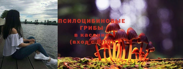 каннабис Богородицк