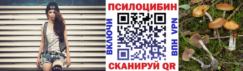 Галлюциногенные грибы Psilocybine cubensis  магазин продажи наркотиков  Первомайск 