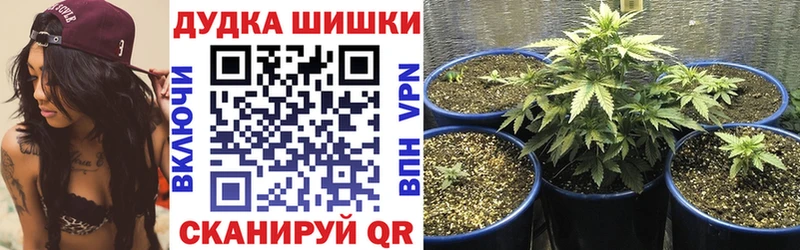 Бошки марихуана White Widow Первомайск